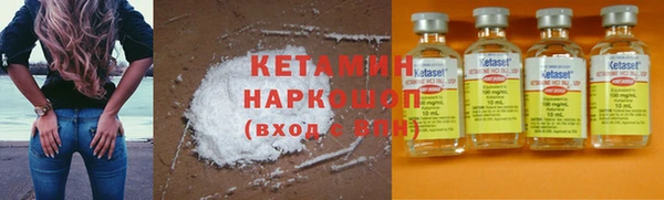 прущие грибы Абаза