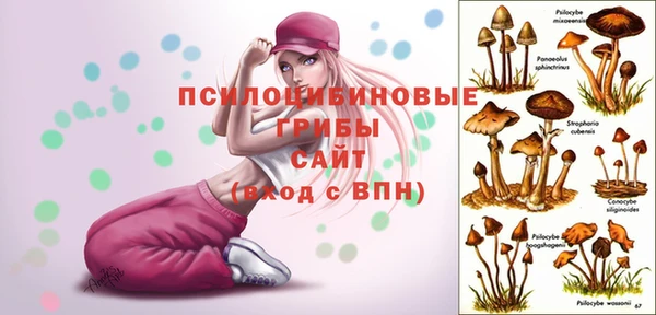 jwh Абинск