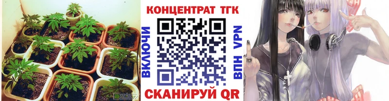 Дистиллят ТГК Wax ссылка на мегу рабочий сайт Алзамай