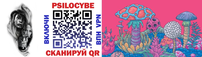 Псилоцибиновые грибы мицелий  Алзамай 